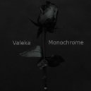VALEKA - Monochrome (DnB Mix) ()