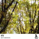 Boy Funktastic - Sy01 (Original mix)