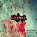 Inve & Forsi - Sing Your Song