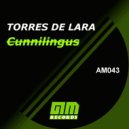 Torres de Lara - Cunnilingus (Original mix)