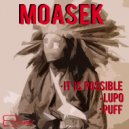 Moasek - It Is Possible (Original Mix)