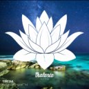 Threymi - Resilencia
