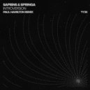 Sapiens & Springa - Introversion