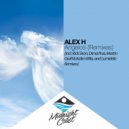 Alex H - Angelos