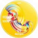 VIDDAR - Sound Of Life (Kiksu Remix)
