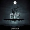 CarpeDiem SA - After Life (Original Mix)