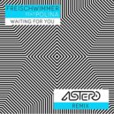 Freischwimmer feat. Polina - Waiting For You (Astero Remix)