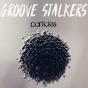 Groove Stalkers - Darkness Is The Answer (Original Mix)
