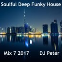 DJ Peter - Soulful Deep Funky House Mix 7 2017 (x)