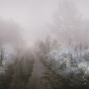 Tim Schaufert - Fallen On Dreams