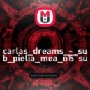 Carlas Dreams - Sub pielia mea (mash up dj melki & dj sabr) (Original Mix)