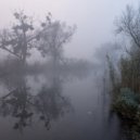 Tim Schaufert - Haunted