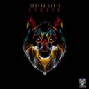 Joshua Lavin - Liquid