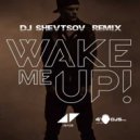 Avicii feat. Aloe Blacc - Wake Me Up (DJ Shevtsov Remix)