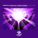 Spherical Bloom & Hidden Tigress - Aura of Love (feat. Hidden Tigress) (Original Mix)