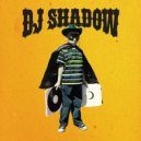 Dj Shadow - This Time (Pecoe Remix) (Original Mix)