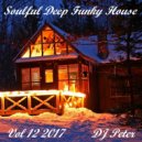 DJ Peter - Soulful Deep Funky House Vol 12 2017 ()