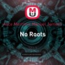 Alice Merton x Manuel Jametti - No Roots (Stas Limonoff Mashup)