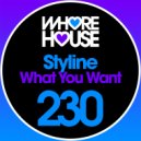 Styline - What You Want (Original Mix)
