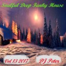 DJ Peter - Soulful Deep Funky House Vol 13 2017 ()