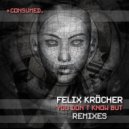 Felix Kröcher - You Don't Know But (Fractious)