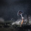 Sad radio on Cassini - Summer of our hopes