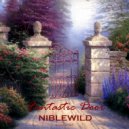 Niblewild - Fantastic Door (Extended Mix)