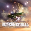Vanish & Steve Synfull & Brandon Bass & Steve Synfull - Supernatural (BBSS Disco Rework)