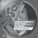 Carlos Vargas, Mj White - Are You Waitin (Carlos Vargas Spiritual Mix)