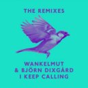Wankelmut & Bjoern Dixgard - I Keep Calling