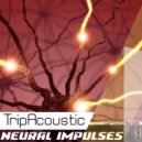 Tripacoustic - Sun Set