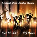 DJ Peter - Soulful Deep Funky House Vol 14 2017 ()