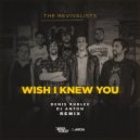 The Revivalists - Wish I Knew You (Denis Rublev & DJ Anton Remix)