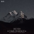 Since Now - Phosphenes