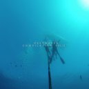 Hydrangea - There And Nowhere