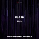 FLASH - UHH