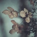 Onykia - Moment