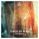 Singular Mind - From The Inside (Original Mix)