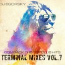 DJ Egorsky - Terminal Mixes#7(Comback Hits 2017)