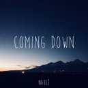 Naulé - Coming Down (Original Mix)