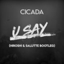 Cicada - The Things U Say (Hiroshi & Salutte Bootleg)