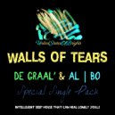 DE GRAAL\' feat. al l bo - Walls Of Tears (original mix)