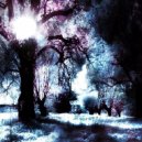 Vaeros - White Forest (Original Mix)
