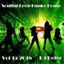 DJ Peter - Soulful Deep Funky House Vol 15 2018 ()