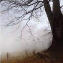 Tim Schaufert - Beginnings