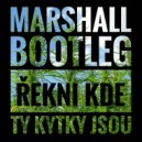 Judita Čeřovská - Řekni Kde Ty Kytky Jsou (Marshall Bootleg)