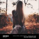 Daniel Grand Ft. James Stefano - Looking For Love (AllixZ Bootleg)