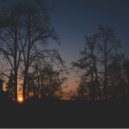 Ferven - Lonely Nights