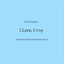 Sub Orchestra - I Love, I Cry (Sasha White & Mauro Czukko Unofficial Remix)
