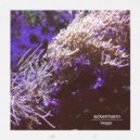 Ackermann - Batu